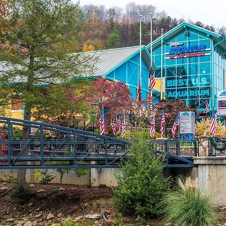 Bear View Chalet, 3 Bedroom, Pool, Pets, Arcades, Wifi, Hot Tub, Sleeps 12 Gatlinburg Εξωτερικό φωτογραφία