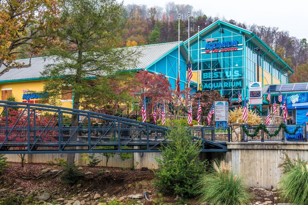 Bear View Chalet, 3 Bedroom, Pool, Pets, Arcades, Wifi, Hot Tub, Sleeps 12 Gatlinburg Εξωτερικό φωτογραφία