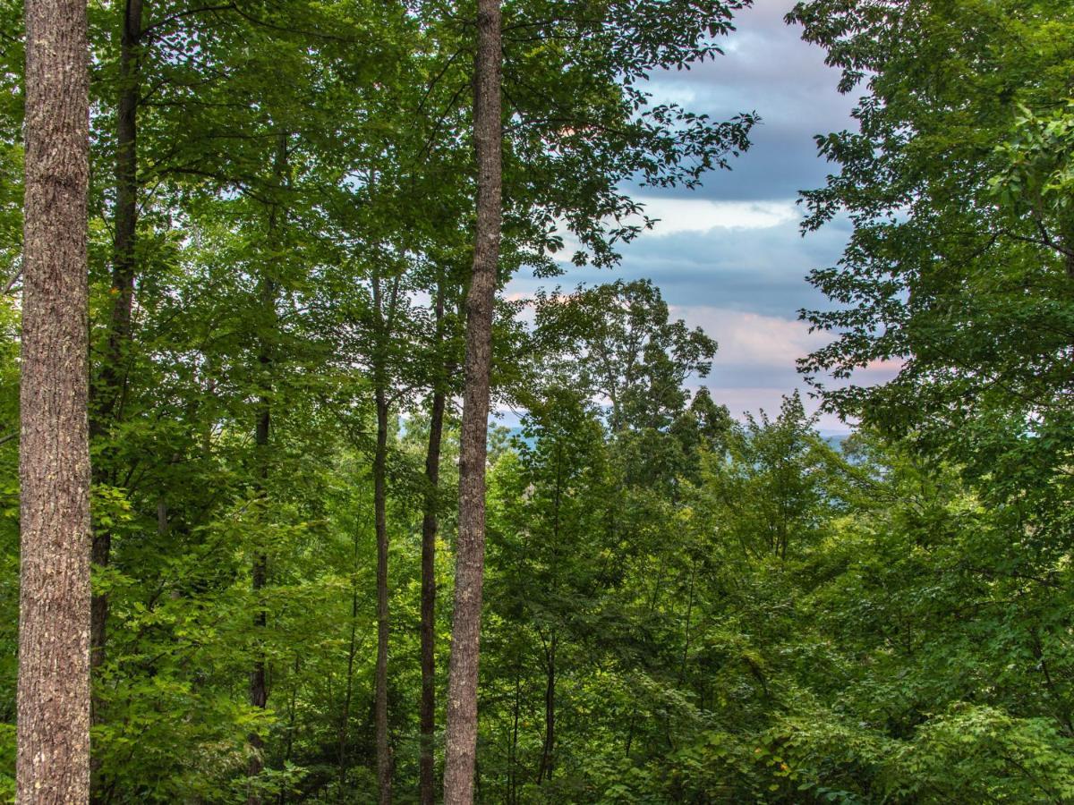 Bear View Chalet, 3 Bedroom, Pool, Pets, Arcades, Wifi, Hot Tub, Sleeps 12 Gatlinburg Εξωτερικό φωτογραφία