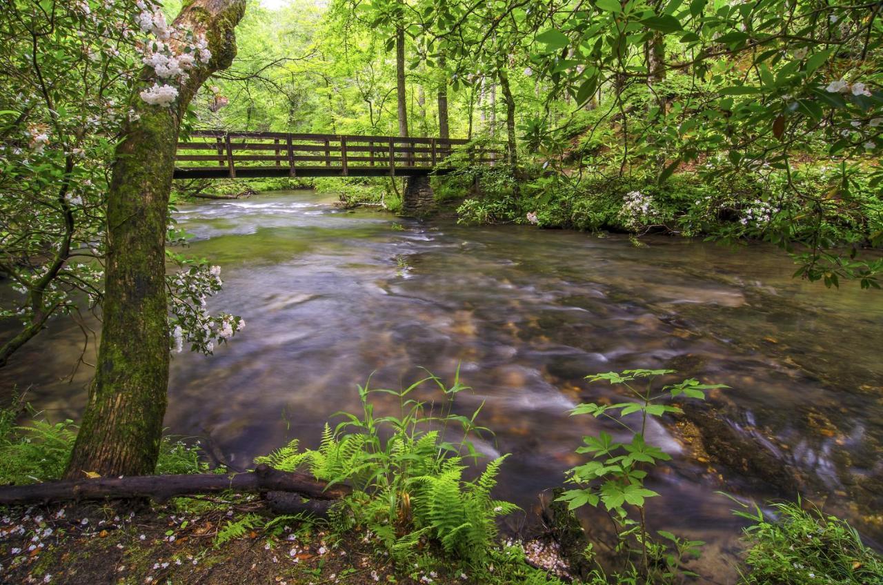 Bear View Chalet, 3 Bedroom, Pool, Pets, Arcades, Wifi, Hot Tub, Sleeps 12 Gatlinburg Εξωτερικό φωτογραφία